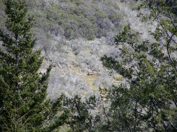 031906 (74)