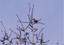 032203-42web