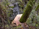 Winter Falls