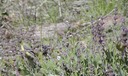 040503 043_web