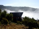 Looking East with the Fog coming in