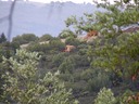 From Across the Valley