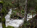 The Creek is Rising