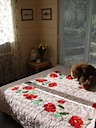 The Downstairs Bedroom