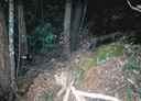 bobcat 051202