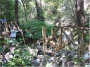 bridge (10)