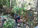 bridge (12)