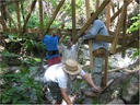 bridge (15)