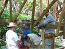 bridge (16)