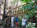 bridge (17)