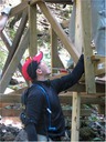bridge (19)