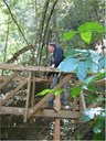 bridge (22)