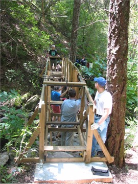 bridge (29)