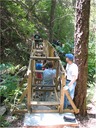 bridge (29)
