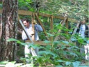 bridge (3)