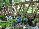 bridge (31)