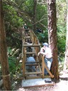 bridge (33)