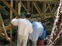 bridge (36)