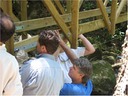 bridge (37)