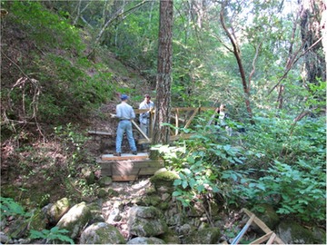 bridge (4)