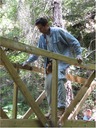bridge (43)