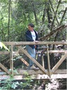 bridge (46)