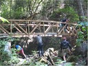 bridge (48)