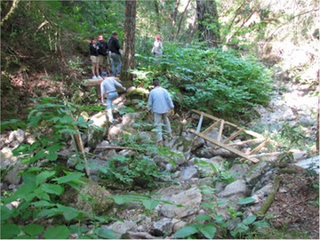 bridge (5)
