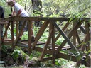 bridge (54)
