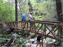 bridge (56)