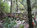 bridge (57)