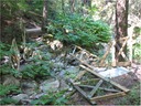 bridge (6)