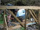 bridge (60)