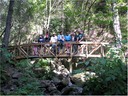 bridge (62)