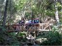 bridge (63)