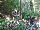 bridge (7)