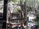 bridge (9)
