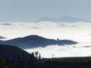 Elarra 011903-07