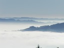 Elarra 011903-42