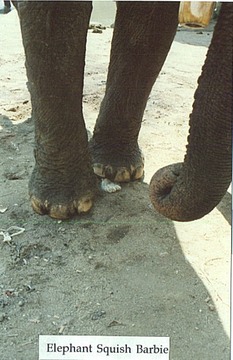 Elephant_Squish_Barbie