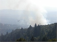 fire8