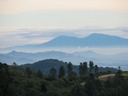 IMG_2083