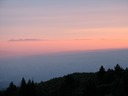 IMG_2136