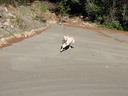 IMG_2204