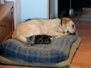 Asleep with Nyssa
