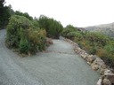 IMG_6821