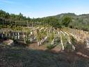 IMG_7071