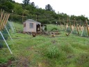 IMG_7493