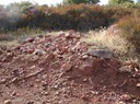 Obsv081802