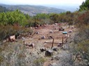 Obsv091202